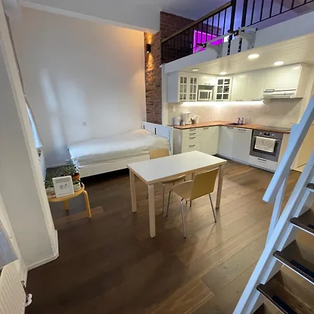 Ilmastoitu Yksioe Turun Kupeessa Apartament